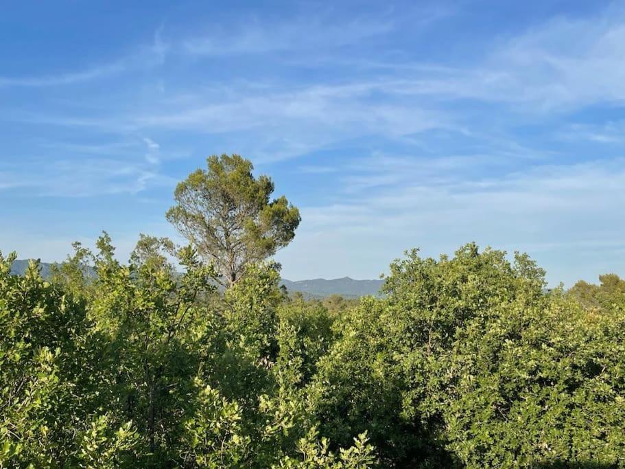 Piscine - Gorges Du Verdon, De Sainte-croix Villa