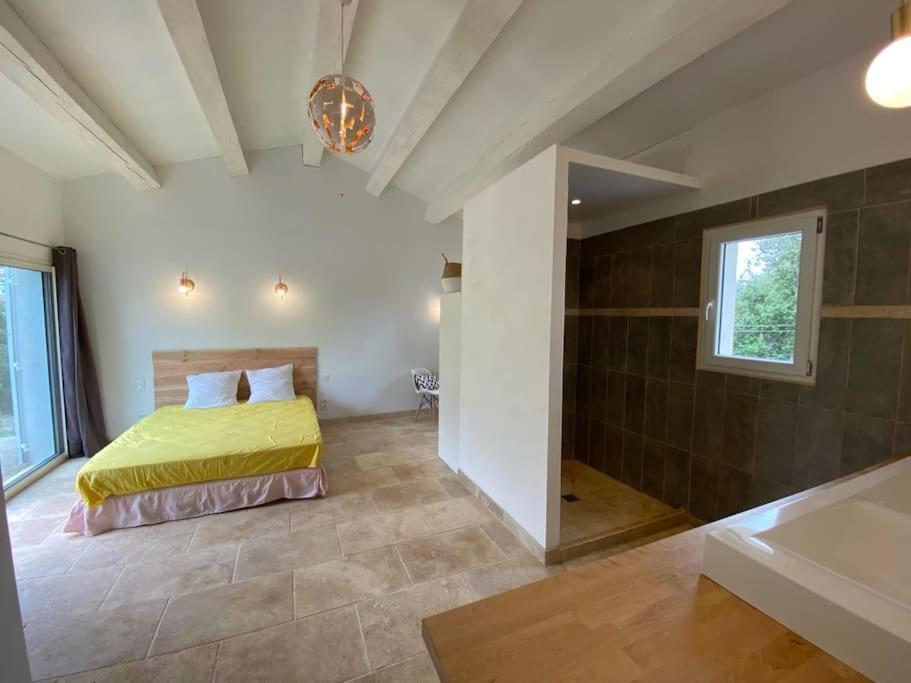 Villa Piscine - Gorges Du Verdon, De Sainte-croix *