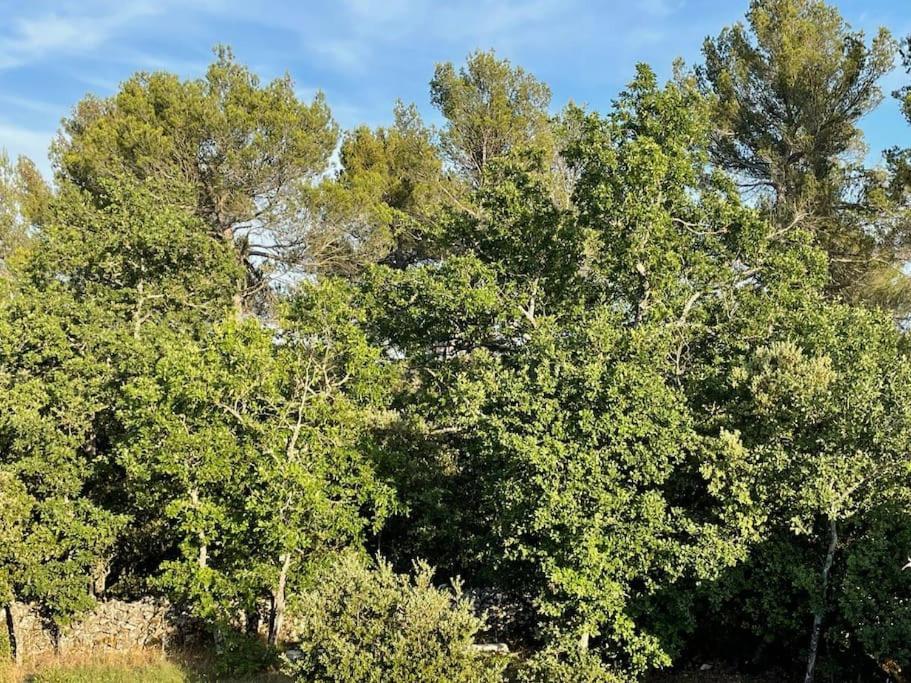 Piscine - Gorges Du Verdon, De Sainte-croix Villa *